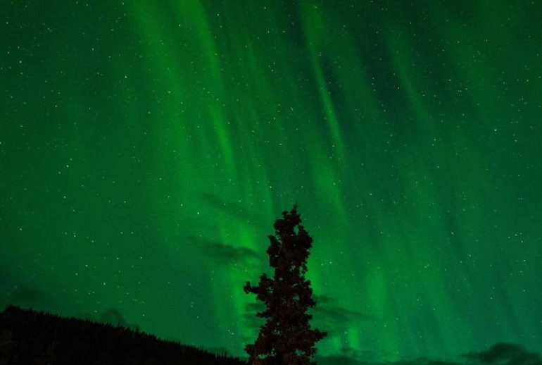 Layanan pendampingan ekspatriat investor di Bali