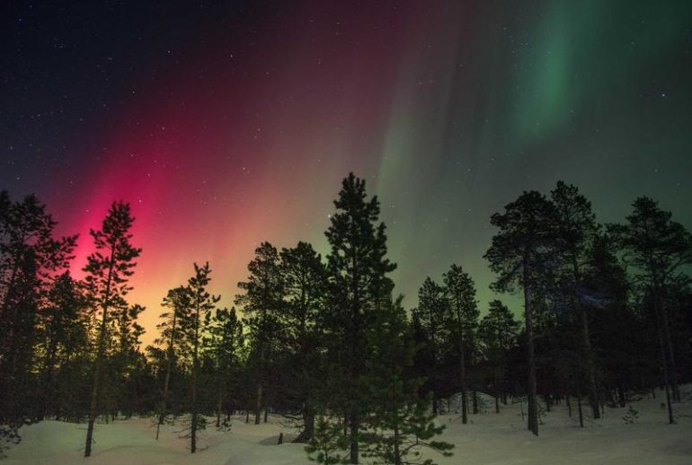 Kantor konsultan KITAS di Bali untuk ekspatriat