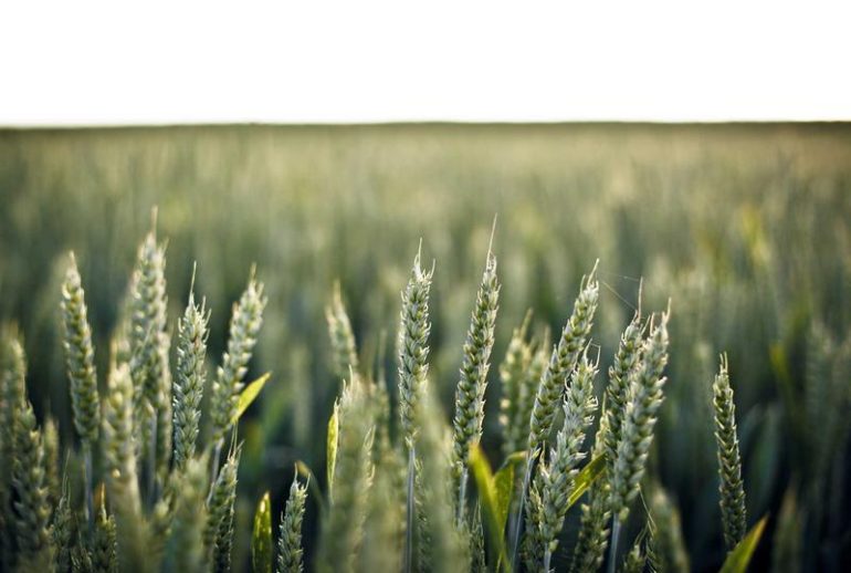 Agen visa tinggal jangka panjang di Bali untuk ekspatriat